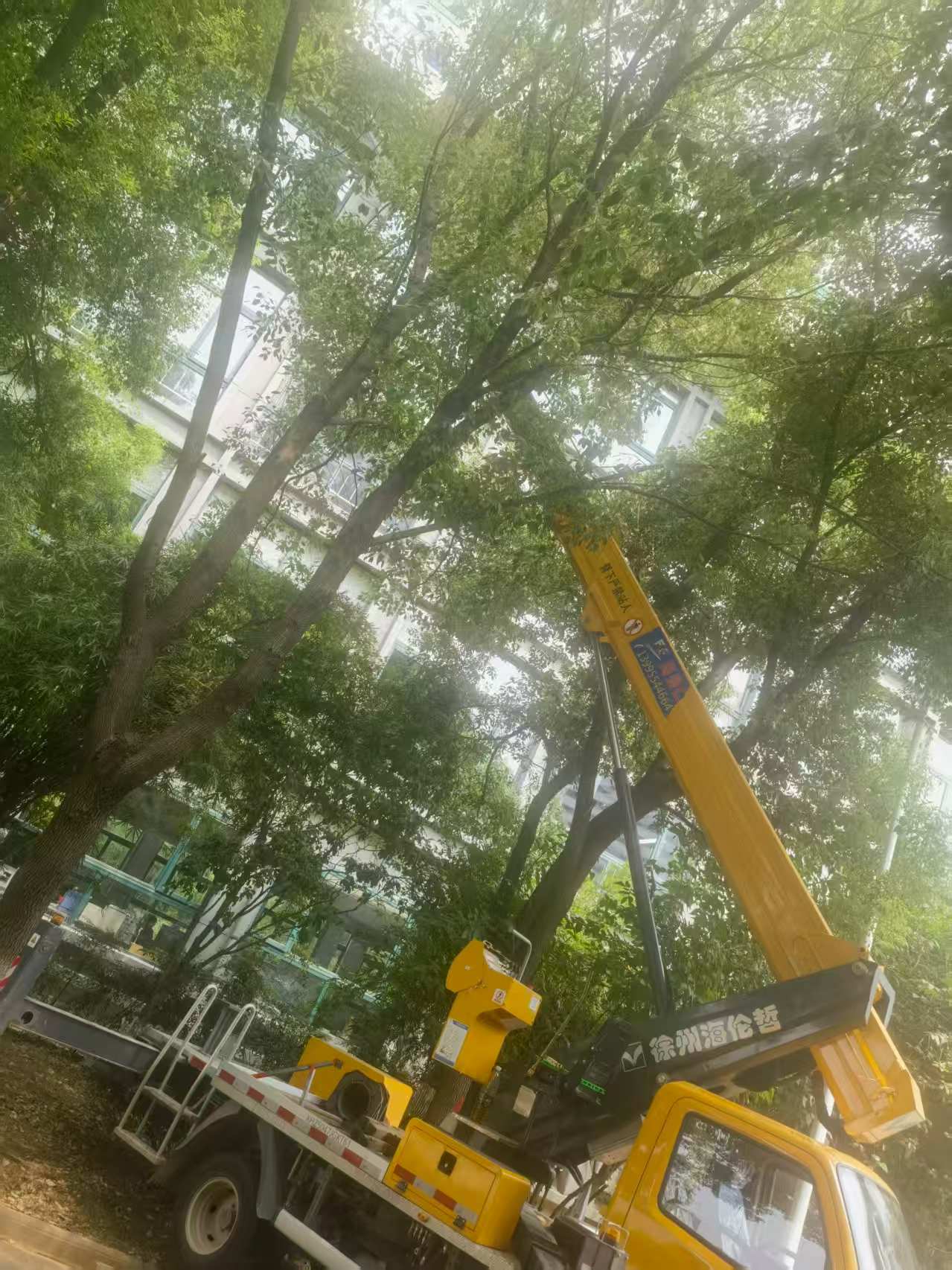 18米直臂升降車(chē)載人修剪樹(shù)枝、園林施工現(xiàn)場(chǎng)